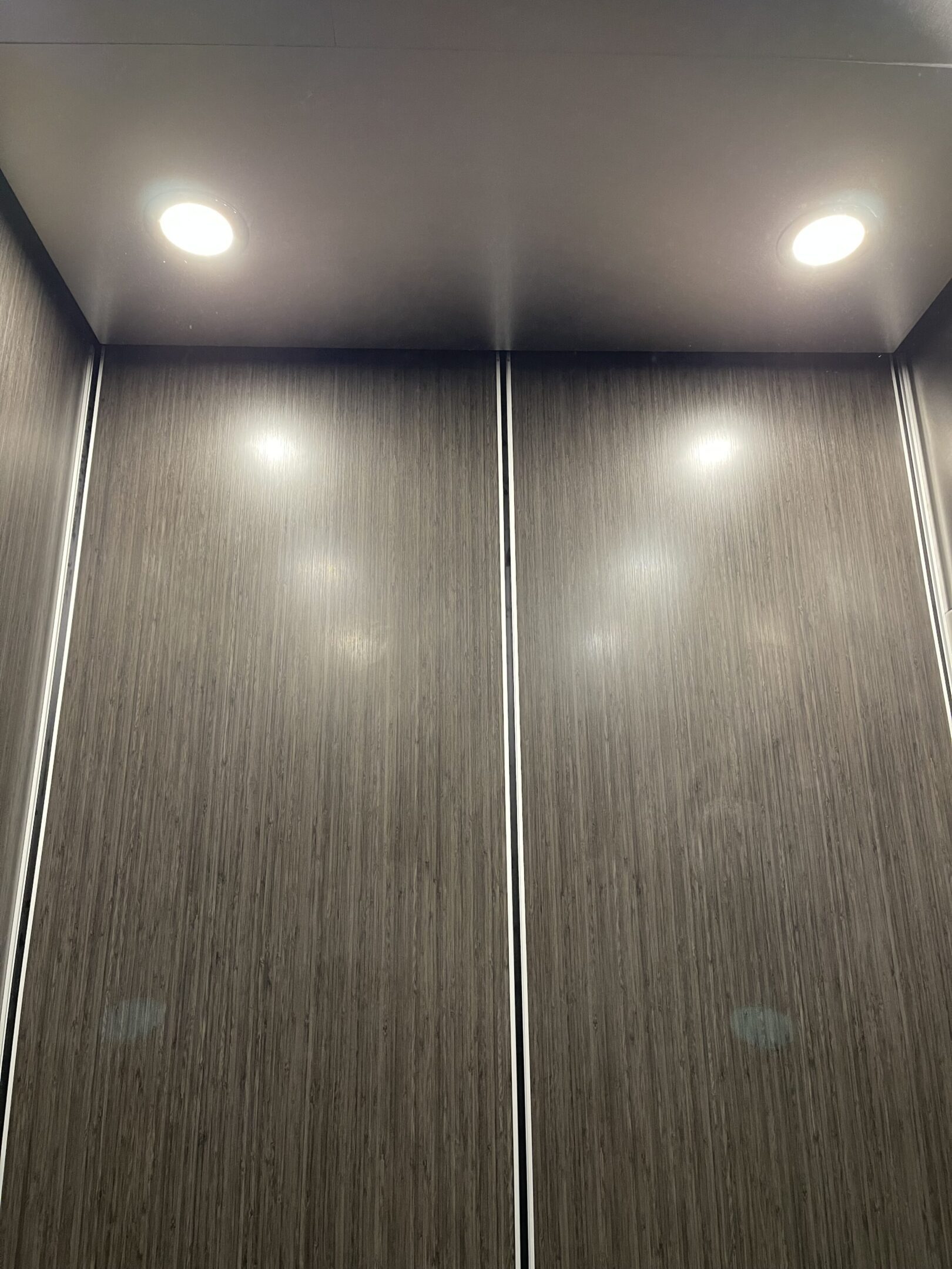 Asian Night & Woodgrain Stainless Elevator Cab — Upper East Side — view 4